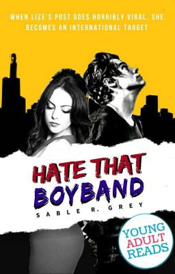 Hate That BoyBand (h.s fanfic)| ✔