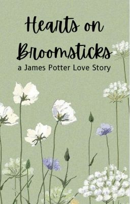 Hearts on Broomsticks | James Potter