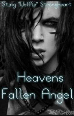 Heavens Fallen Angel [Andy Biersack x Reader]