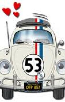 Herbie the love bug