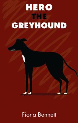Hero the greyhound (Simon's Hero)
