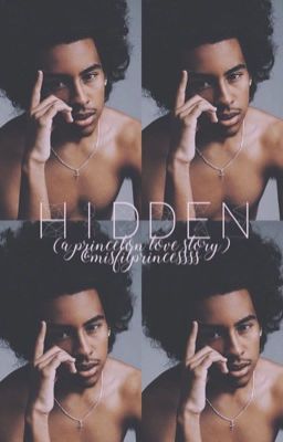 Hidden (A Princeton Love Story)