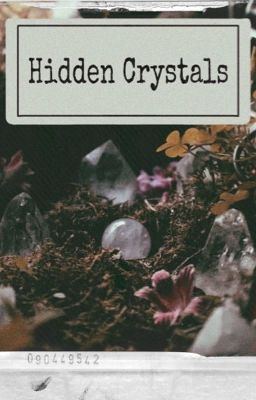 ✧Hidden Crystals ✧