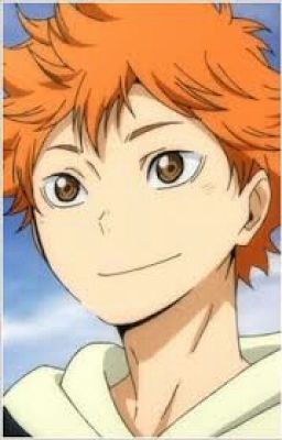 Hinata Shouyou x Male! Reader