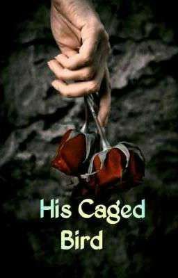 His Caged Bird | Dark Romance| Pure Soul × Devil