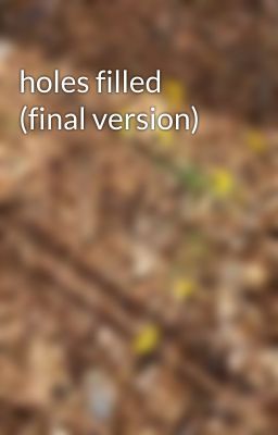 holes filled (final version)