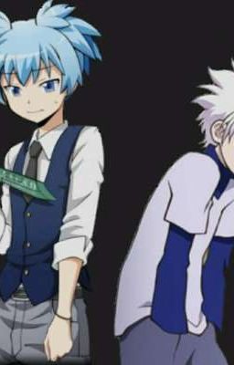 hunter x assassination classroom ( reader x killua)