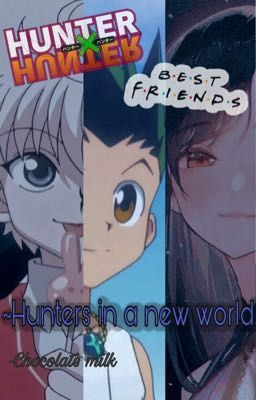 ~Hunters in a new world [Hxh+reader x Mha crossover]