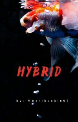 Hybrid - NCT dream ( HRJ; LDH)