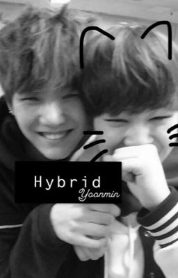 Hybrid - Yoonmin