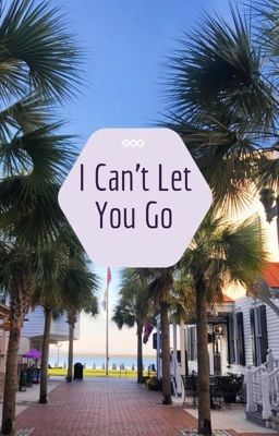 I Can't Let You Go 