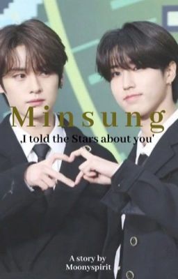 I told the Stars about you - Minsung