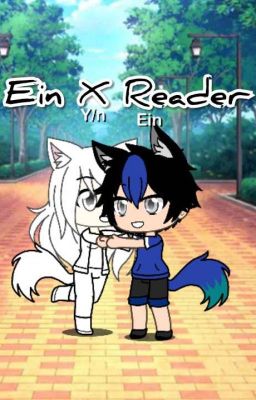 I Will Never Give Up On You (Ein x reader)