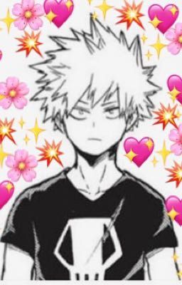 Read Stories Idiot! (Bakugo Katsuki X reader) - TeenFic.Net