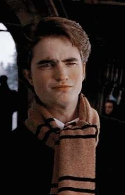 ☆. In the Dark .☆ [Cedric Diggory × Male!Ravenclaw!reader]