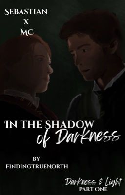 In the Shadow of Darkness | Sebastian Sallow
