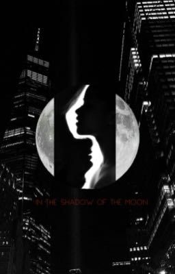 In the shadow of the moon 