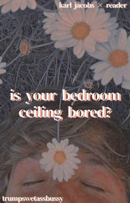 Is Your Bedroom Ceiling Bored?