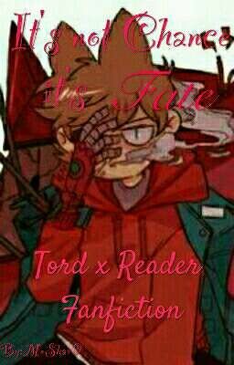 It's not Chance, it's Fate (Tord x Reader)