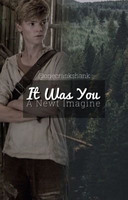 It Was You - A Newt Imagine