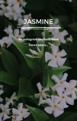 jasmine || an instagram aesthetic book 