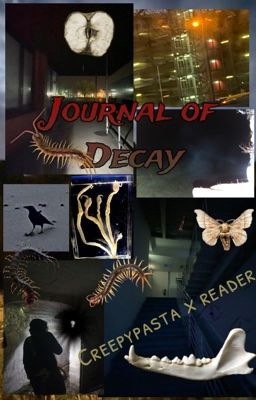 Journal of Decay (Creepypasta x reader)