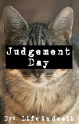 Judgement Day // Closed for Catch Up