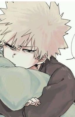 Katsuki Bakugo x Fem reader 