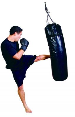 Kickboxing Tutorials