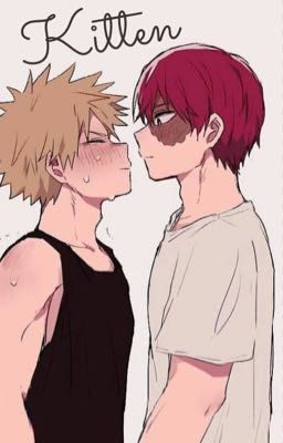 Kitten  |  TodoBaku