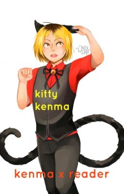 kitty kenma- kenma x reader (gender neutral)