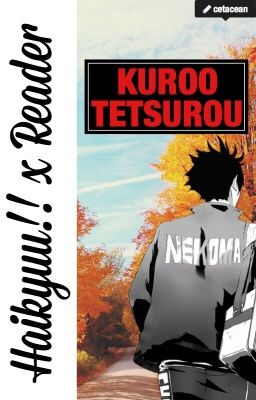 Kuroo Tetsurou x Reader {Collection of Short Stories/Drabbles}