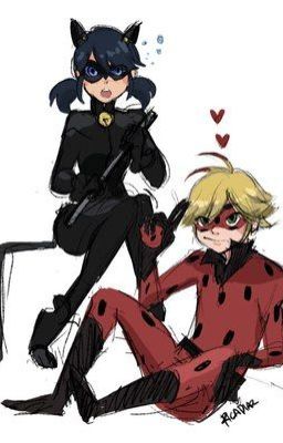 LadyNoir Kwami Swap