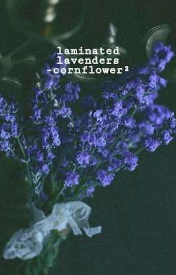 laminated lavenders | dreamnotfound