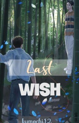 Last Wish (END)