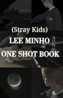 Lee Minho One Shot Book (SKZ) 