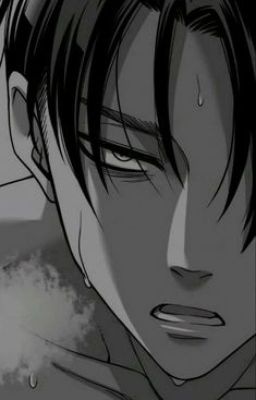 Levi Ackerman x Reader