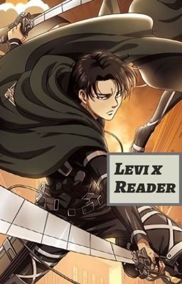 Levi x Reader