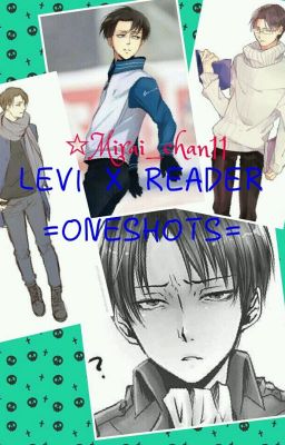 Levi x Reader (COMPLETED)