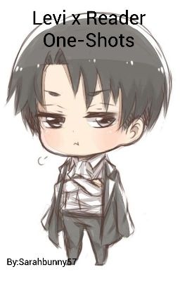 Levi x Reader One-Shots