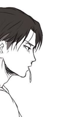 Levi x Reader ONESHOTS