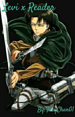 Levi x Reader Saved