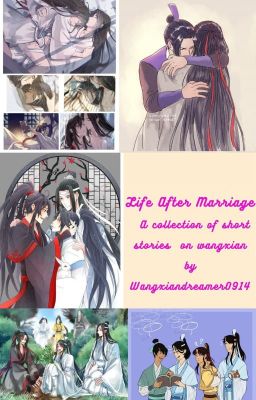 Life After Marriage: A Collection Of Short Stories On Wangxian