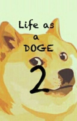 Life as a Doge 2