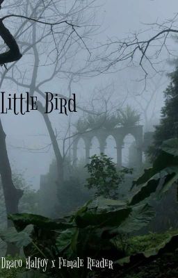 Read Stories Little Bird   Draco x female reader   (Year 1) - TeenFic.Net