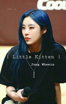 [ Little Kitten ] - Wheein × Female Reader (18+) [ COMPLETED ]