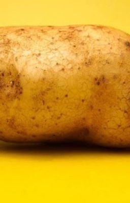 Little Potato Head