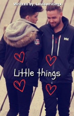 Little things ~Ziam Mayne~