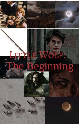 Little Wolf: The Beginning 