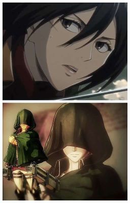 Living in a chaotic and cruel world : A Mikasa x male reader fan fic 